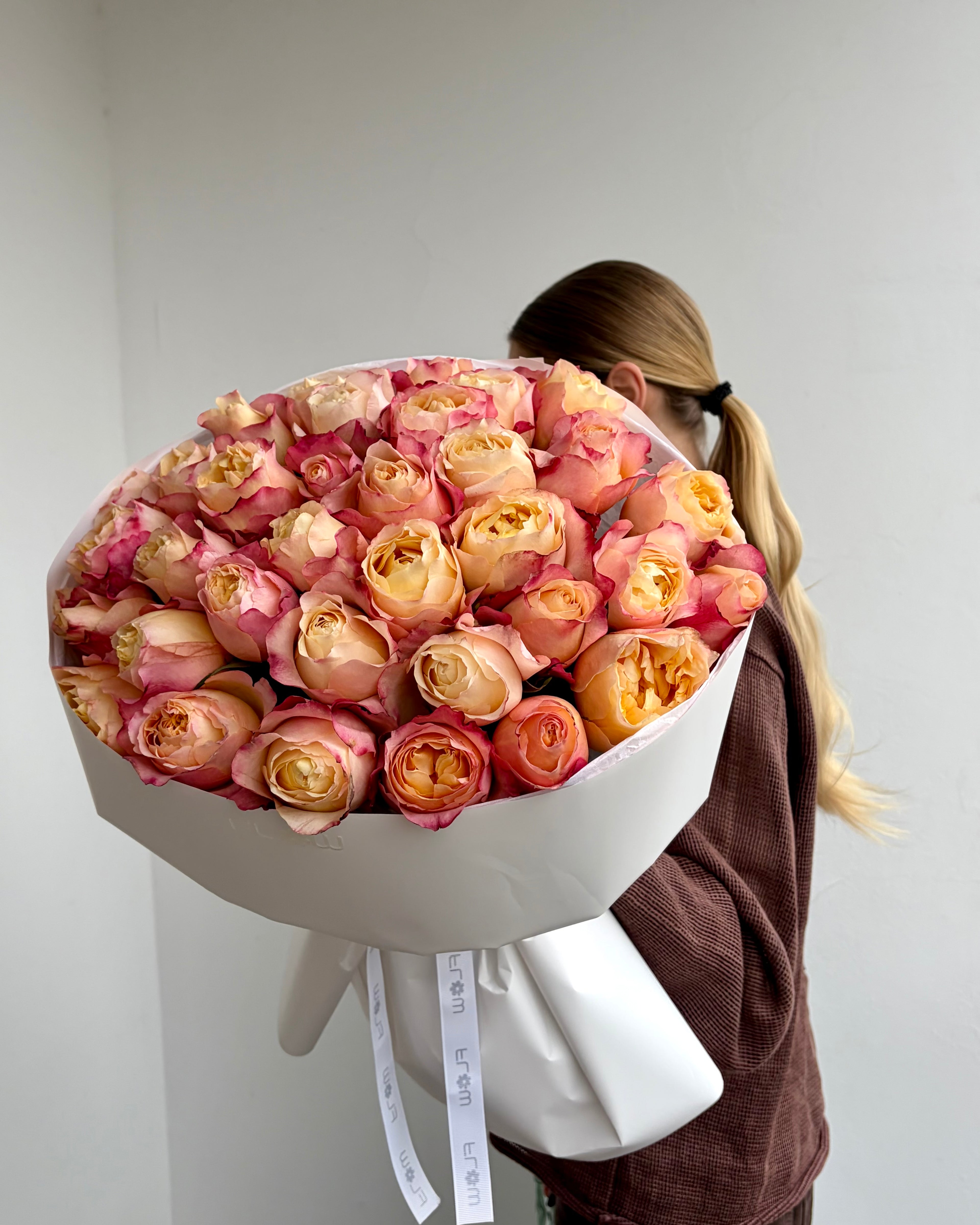 Coral-Pink Peony Rose