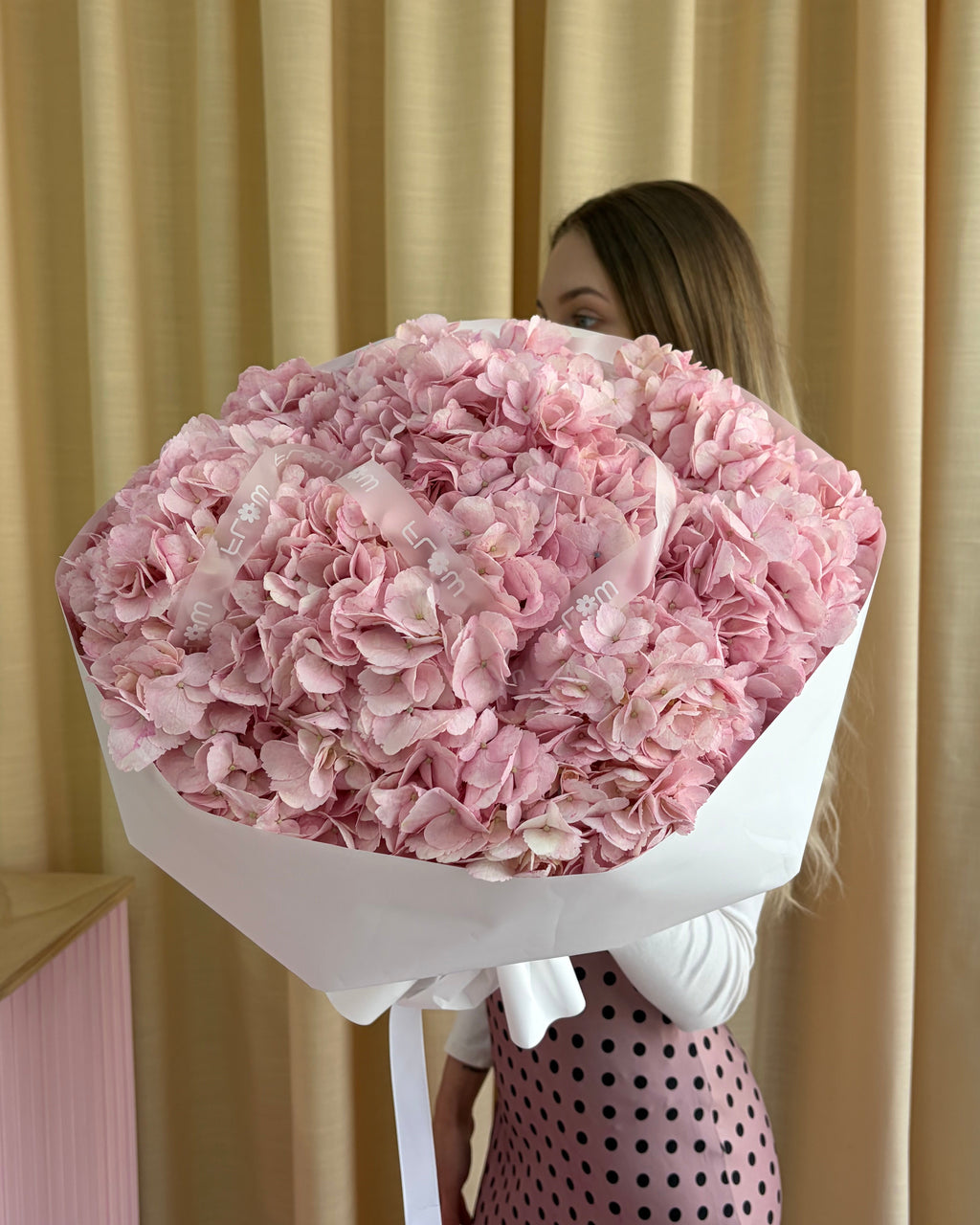 Hydrengea Pink