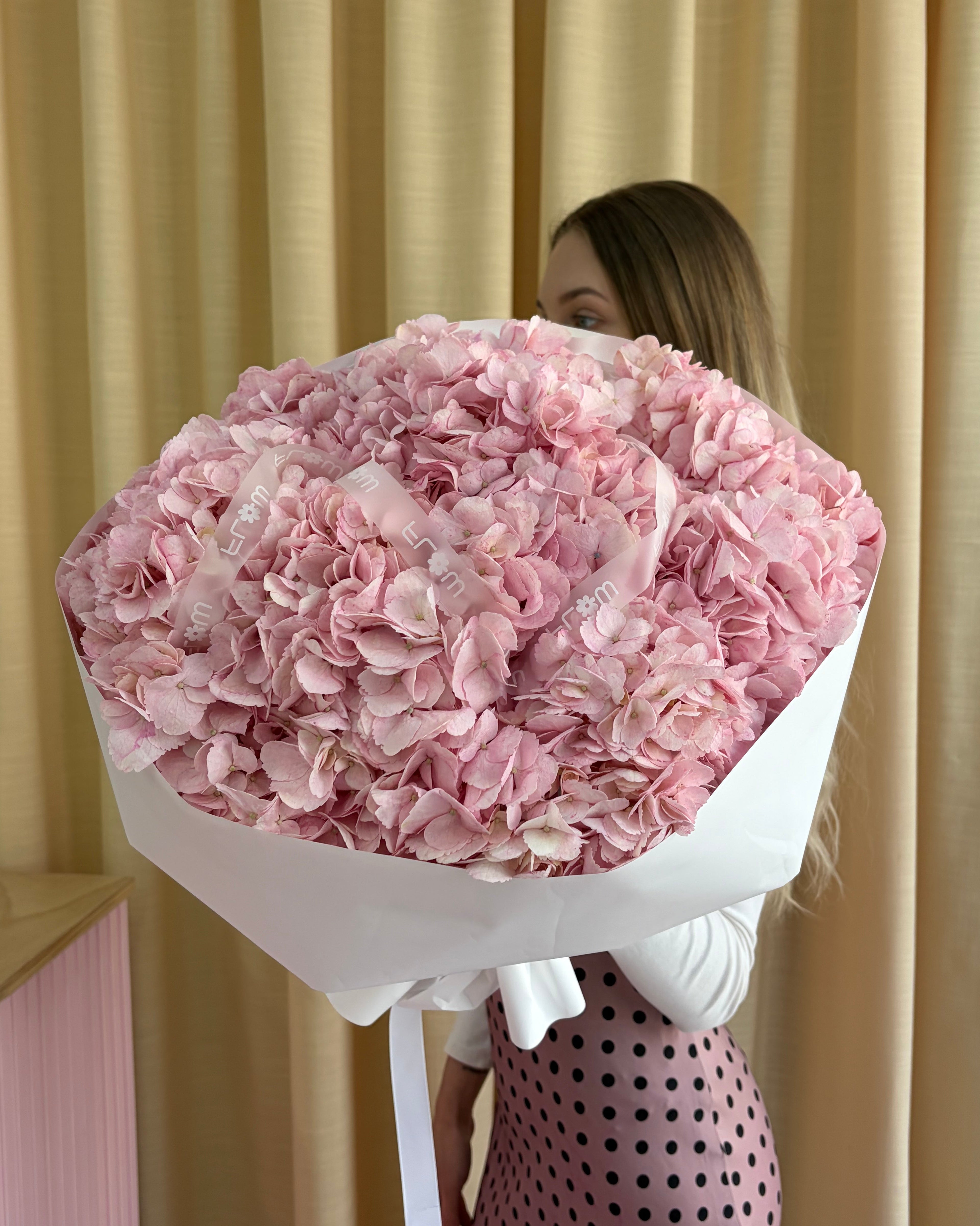 Hydrengea Pink
