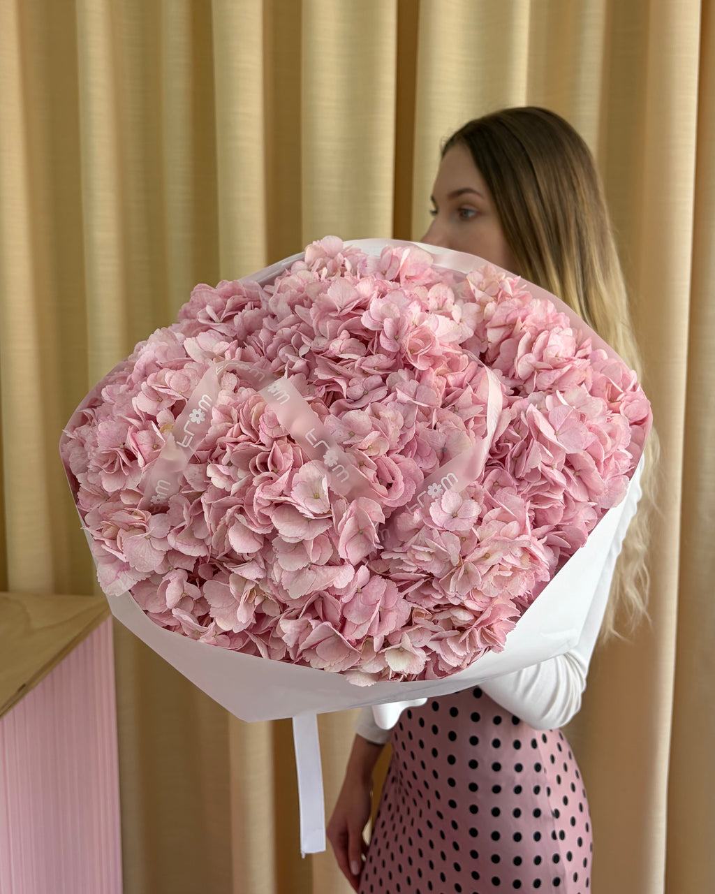 Hydrengea Pink