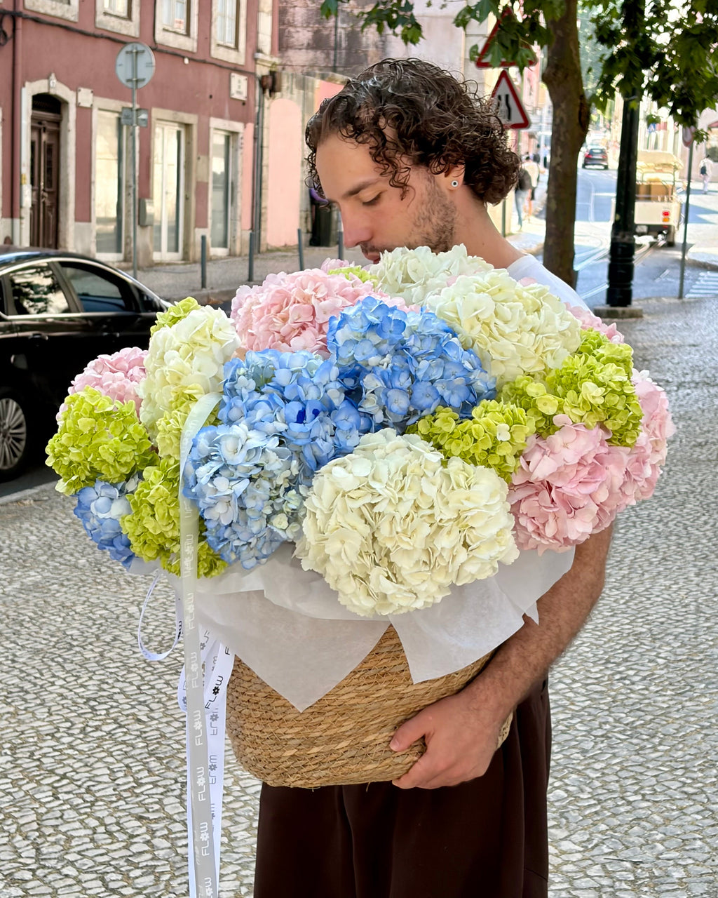 Mono hydrangea