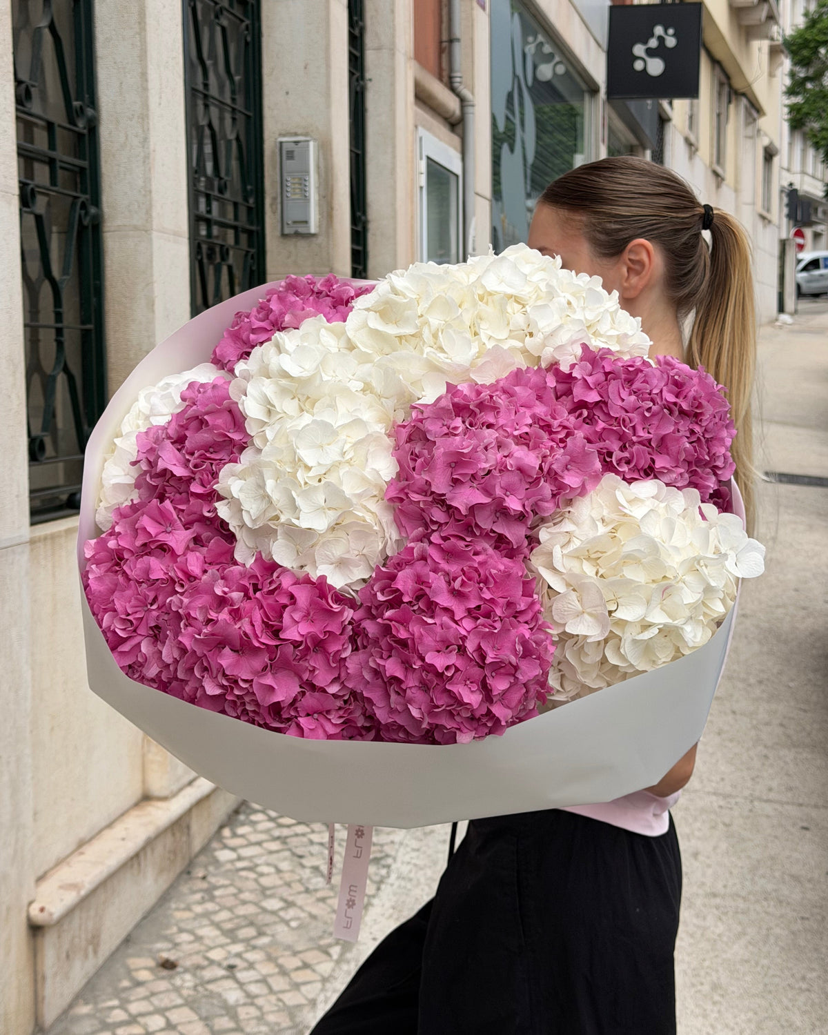 Hydrengea Pink&White