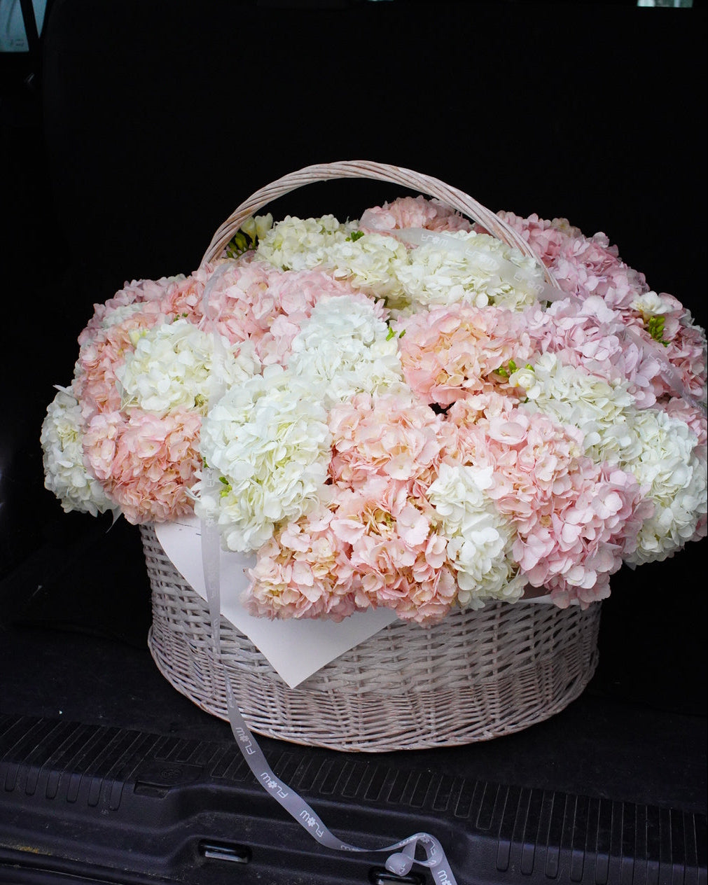 Basket of 70 Hydrangeas