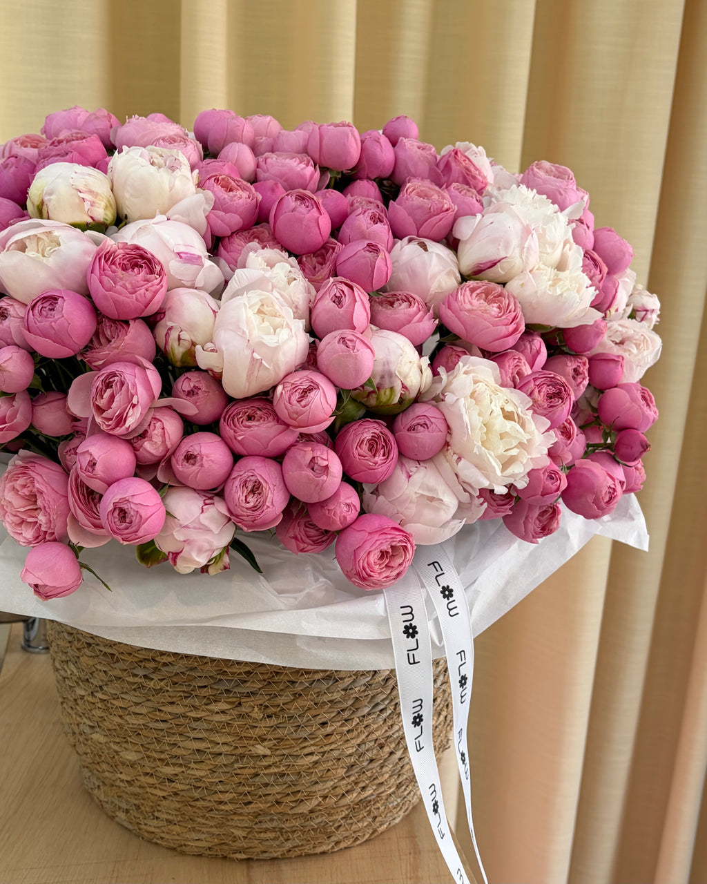 Rosy Peony