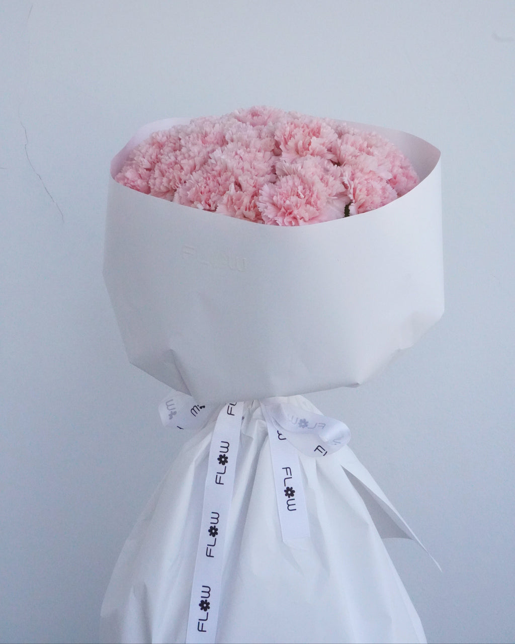 Pink Carnation