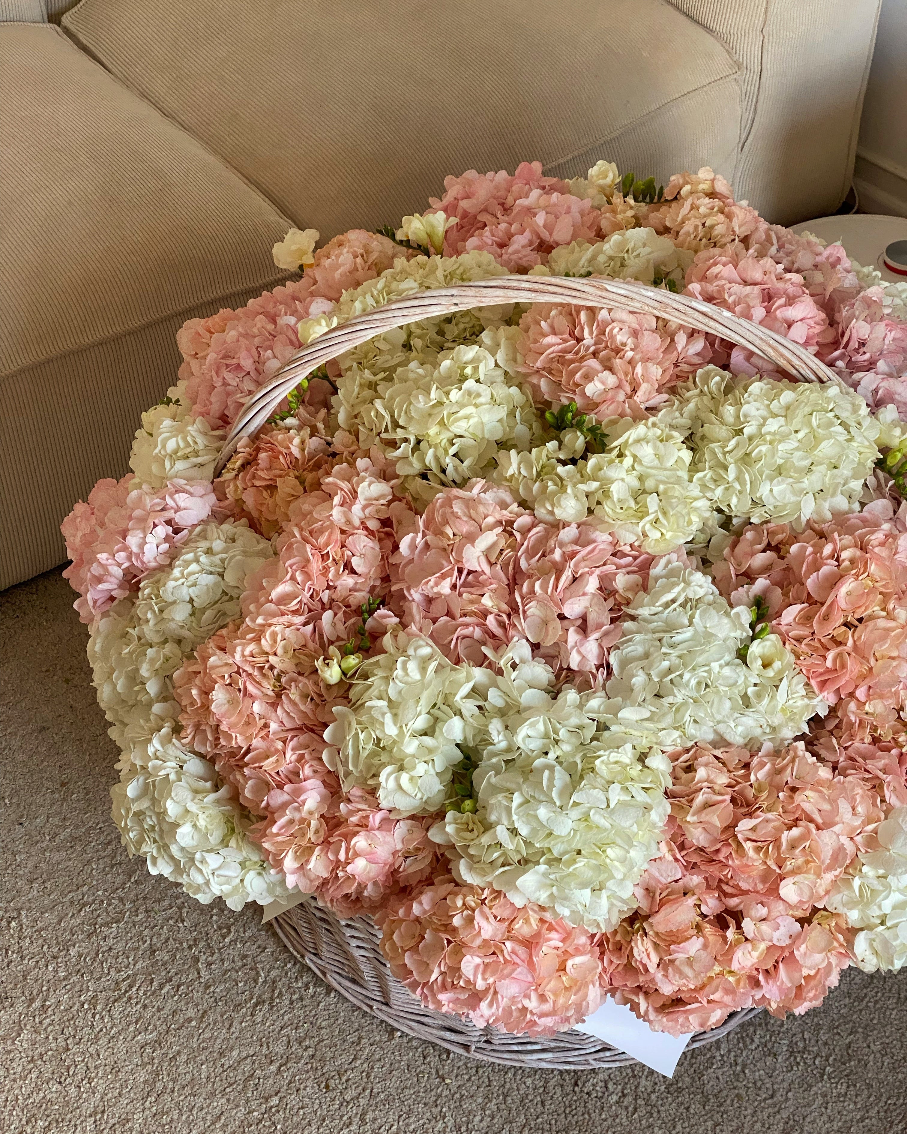 Basket of 70 Hydrangeas