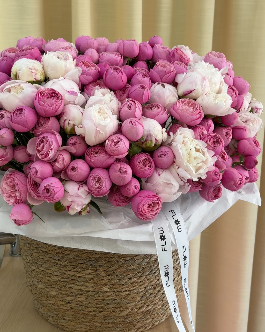 Rosy Peony