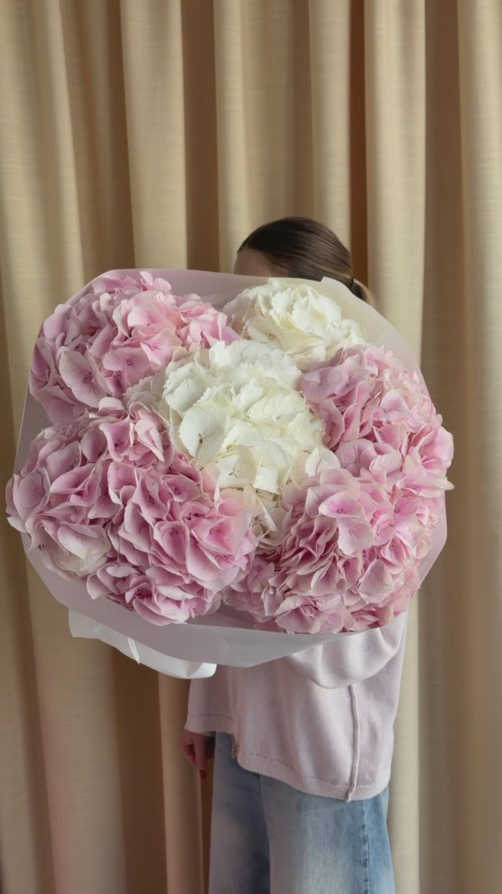 Seasonal Hydrangea Mix